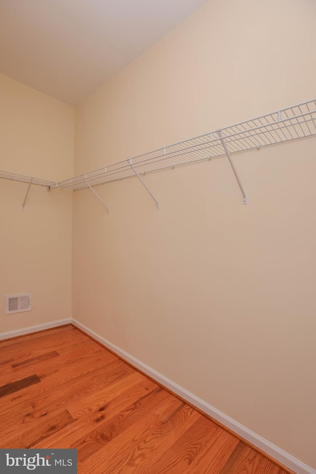 8804 Shining Oceans Way Unit 53, Columbia, MD 21045 - spacious closet with light wood-style flooring