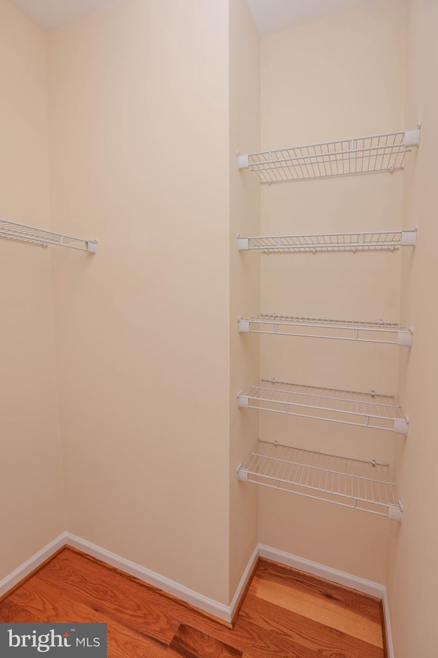 8804 Shining Oceans Way Unit 53, Columbia, MD 21045 - walk in closet with wood finished floors