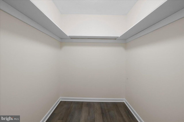 116 Somerset Dr, Stephens City, VA 22655 - walk in closet featuring dark wood-style flooring