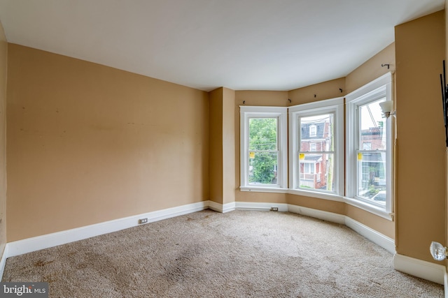 589 N Plum St, Lancaster, PA 17602 - empty room with carpet and plenty of natural light