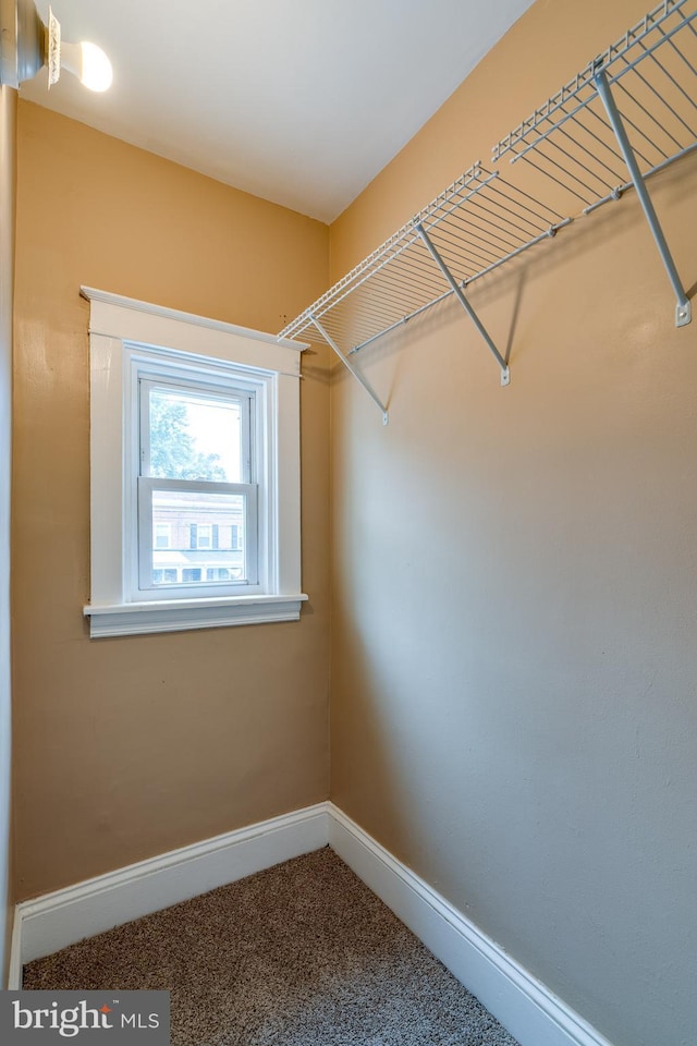 589 N Plum St, Lancaster, PA 17602 - walk in closet with carpet floors