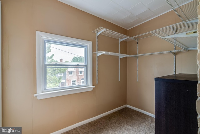 589 N Plum St, Lancaster, PA 17602 - spacious closet featuring carpet floors