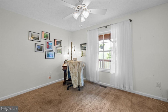 214 Salt Lick Rd, Front Royal, VA 22630 - living area featuring carpet, ceiling fan, and a textured ceiling