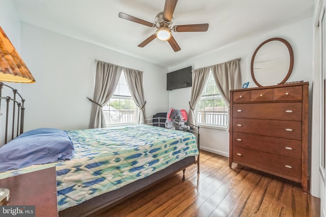 1622 Amosland Rd, Prospect Park, PA 19076 - bedroom with multiple windows, wood finished floors, and a ceiling fan