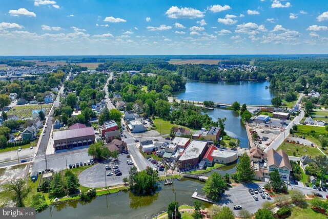 112 W Shore Dr, Milton, DE 19968 - drone / aerial view of a large body of water and a forest