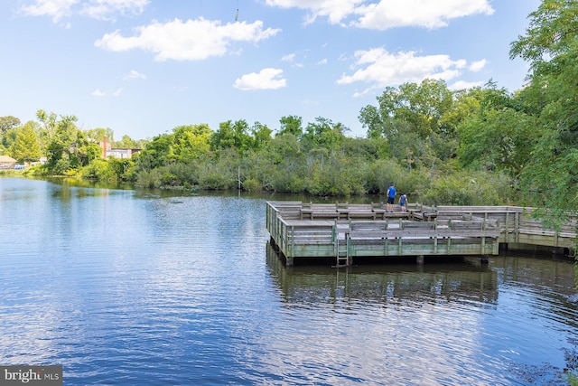 112 W Shore Dr, Milton, DE 19968 - dock featuring a water view