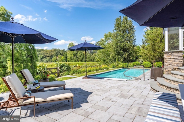 112 W Shore Dr, Milton, DE 19968 - outdoor pool with a patio area and view of scattered trees