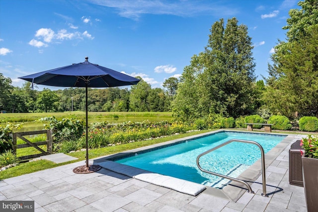 112 W Shore Dr, Milton, DE 19968 - outdoor pool featuring a patio area and view of scattered trees