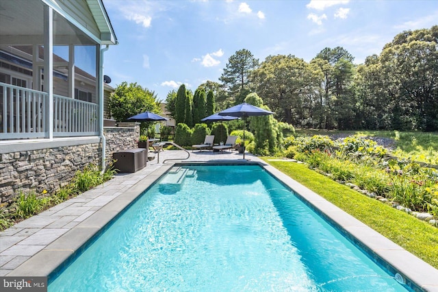 112 W Shore Dr, Milton, DE 19968 - swimming pool with a patio and view of wooded area