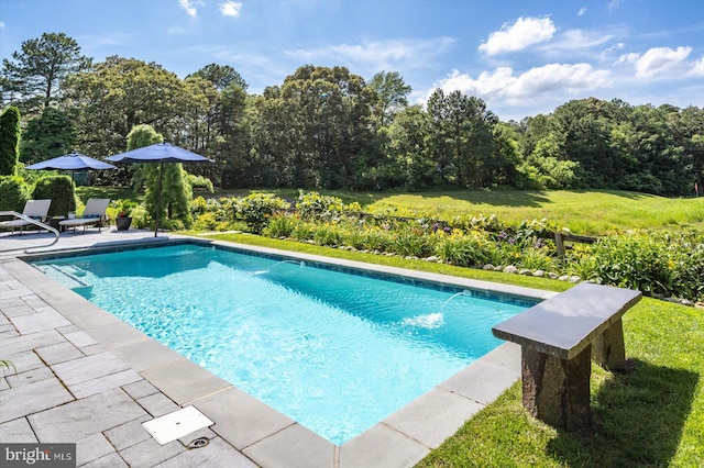 112 W Shore Dr, Milton, DE 19968 - swimming pool featuring a patio area