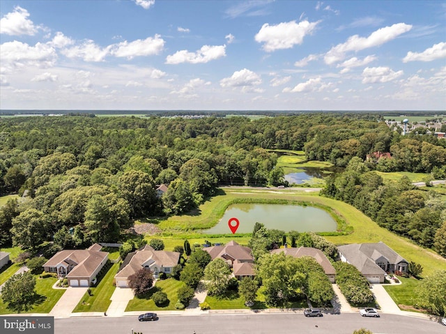 112 W Shore Dr, Milton, DE 19968 - aerial view of residential area featuring a large body of water and a heavily wooded area