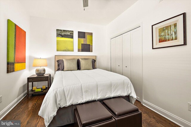 112 W Shore Dr, Milton, DE 19968 - bedroom featuring wood finished floors and a closet