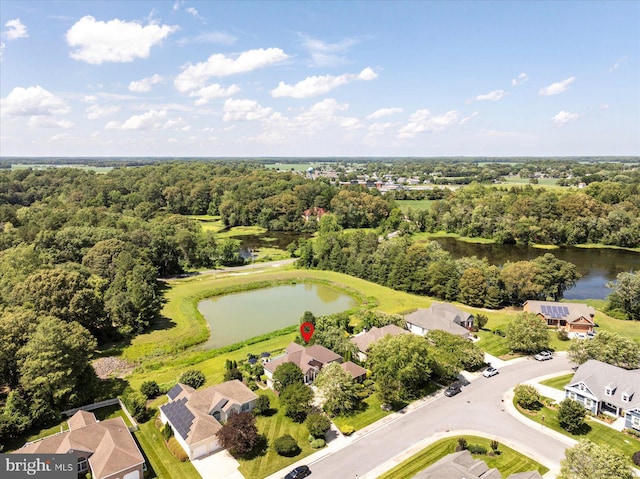 112 W Shore Dr, Milton, DE 19968 - aerial view of residential area with a nearby body of water