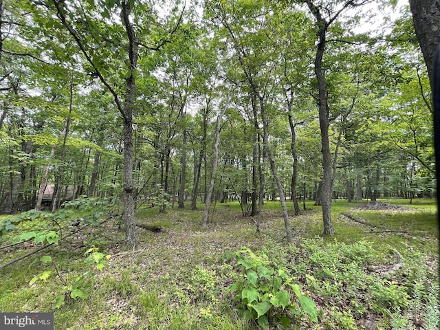 427 Camel Back, Zion Grove, PA 17985