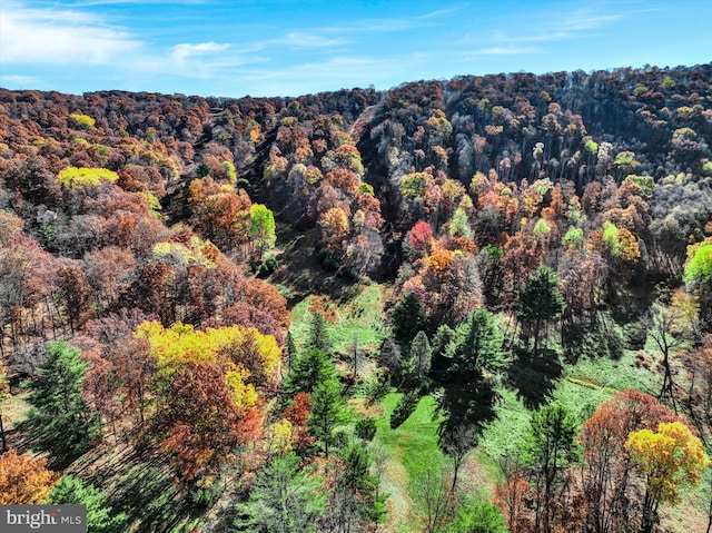 427 Camel Back, Zion Grove, PA 17985