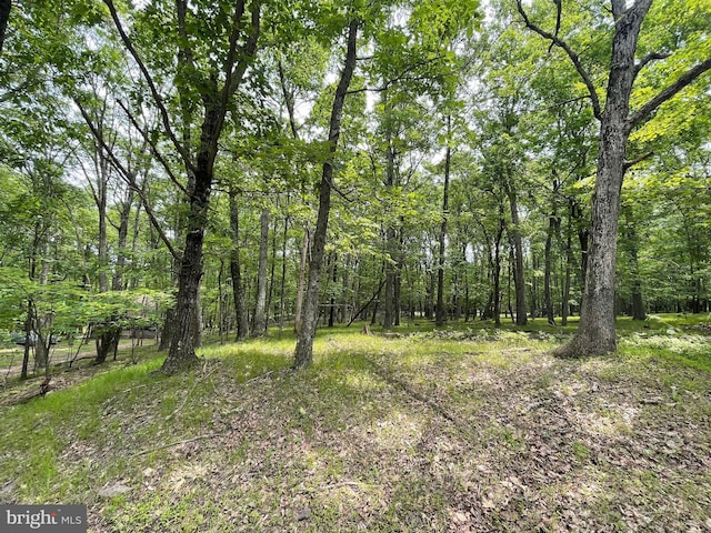 427 Camel Back, Zion Grove, PA 17985