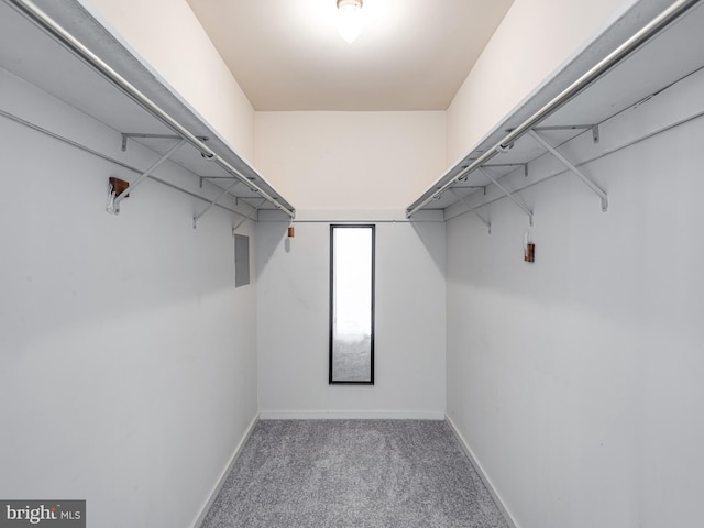 398 Lynetree Dr Unit 11-D, West Chester, PA 19380 - walk in closet with carpet floors