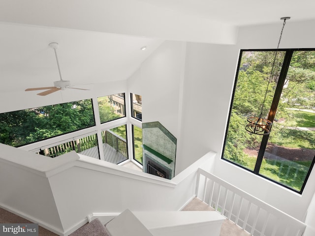 398 Lynetree Dr Unit 11-D, West Chester, PA 19380 - stairs with healthy amount of natural light, carpet flooring, and ceiling fan