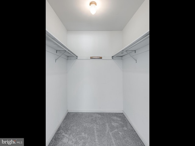 398 Lynetree Dr Unit 11-D, West Chester, PA 19380 - spacious closet featuring carpet