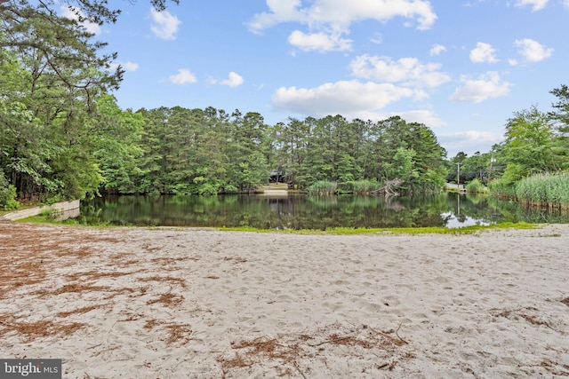 26 Big Look Trl, Medford, NJ 08055 - water view with a heavily wooded area