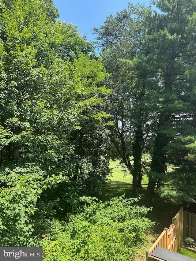 12108 Wedgeway Pl, Fairfax, VA 22033 - view of local wilderness