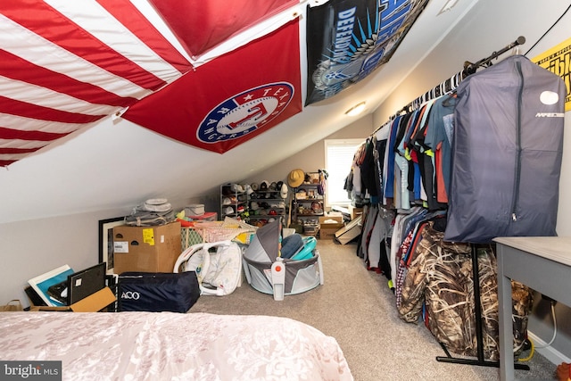 5 N Edinburgh Ct, Houston, DE 19954 - walk in closet with carpet and lofted ceiling