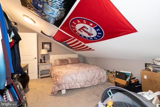 5 N Edinburgh Ct, Houston, DE 19954 - carpeted bedroom with vaulted ceiling