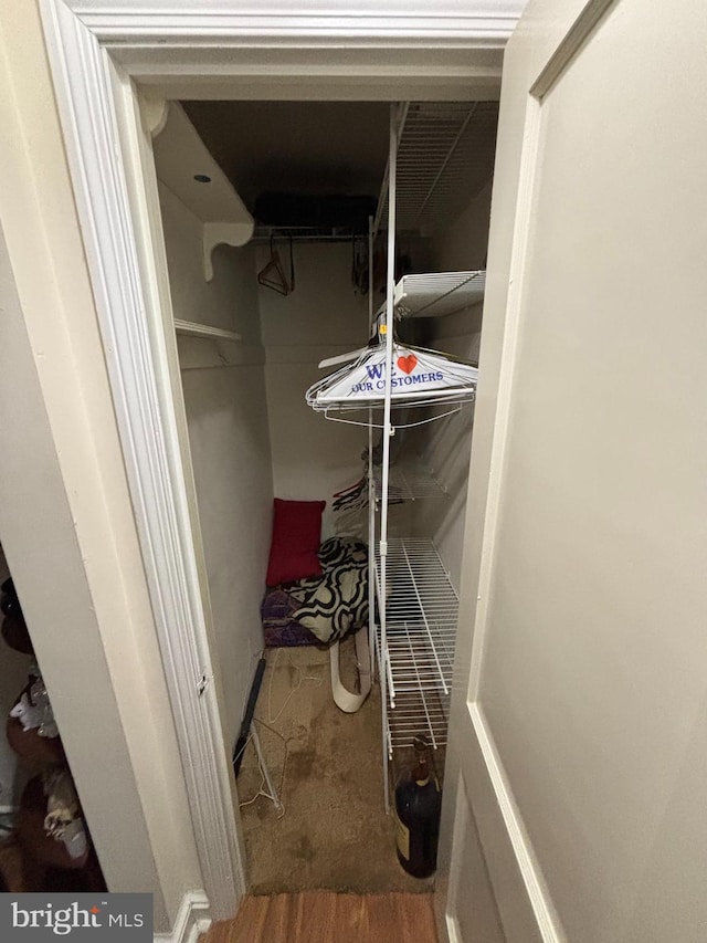 339 W Brookhaven Rd, Brookhaven, PA 19015 - view of storage room