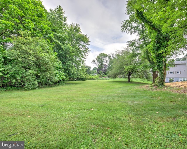 406 Christian Ln, Wallingford, PA 19086 - view of green lawn