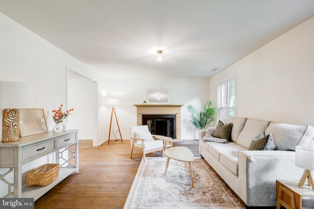 406 Christian Ln, Wallingford, PA 19086 - living area with wood finished floors and a glass covered fireplace