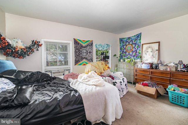 313 E Main St, Mechanicsburg, PA 17055 - bedroom featuring carpet flooring and access to outside