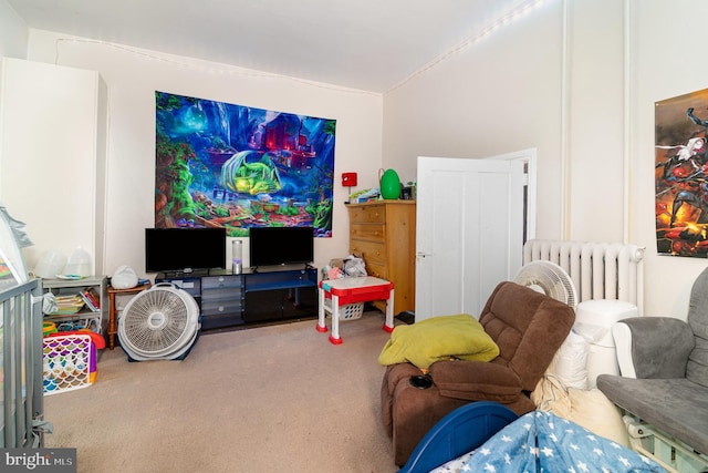 313 E Main St, Mechanicsburg, PA 17055 - carpeted living room with lofted ceiling and radiator heating unit