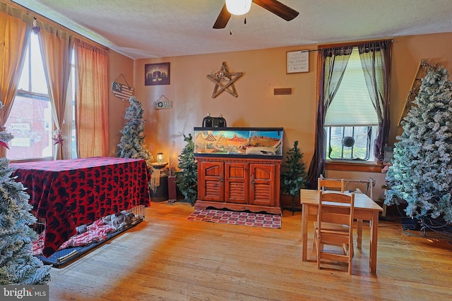 439 Columbia St, Cumberland, MD 21502 - sitting room featuring a textured ceiling, a ceiling fan, wood finished floors, and healthy amount of natural light