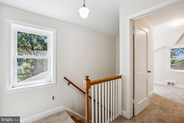 5909 Frederick St, Springfield, VA 22150 - stairway with carpet flooring and baseboards