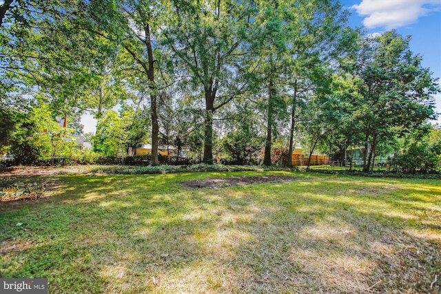5909 Frederick St, Springfield, VA 22150 - view of yard