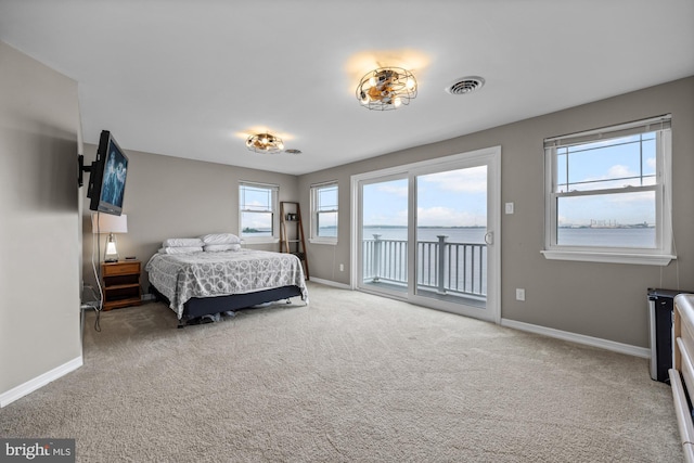 1 Risner Ave, Penns Grove, NJ 08069 - bedroom featuring access to outside, carpet flooring, and a water view
