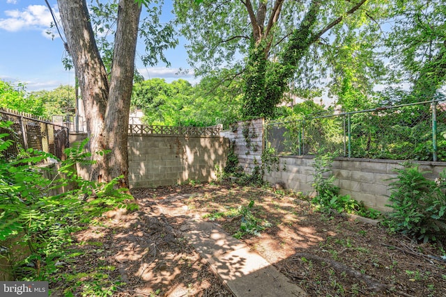 2006 N Mascher St, Philadelphia, PA 19122 - view of fenced backyard