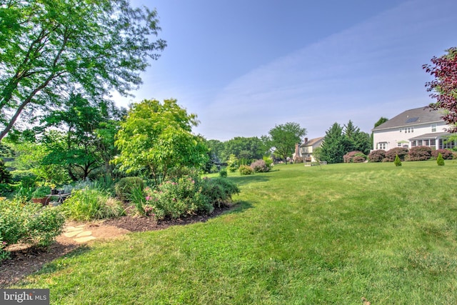 2912 Weaver Rd, Lancaster, PA 17601 - view of grassy yard