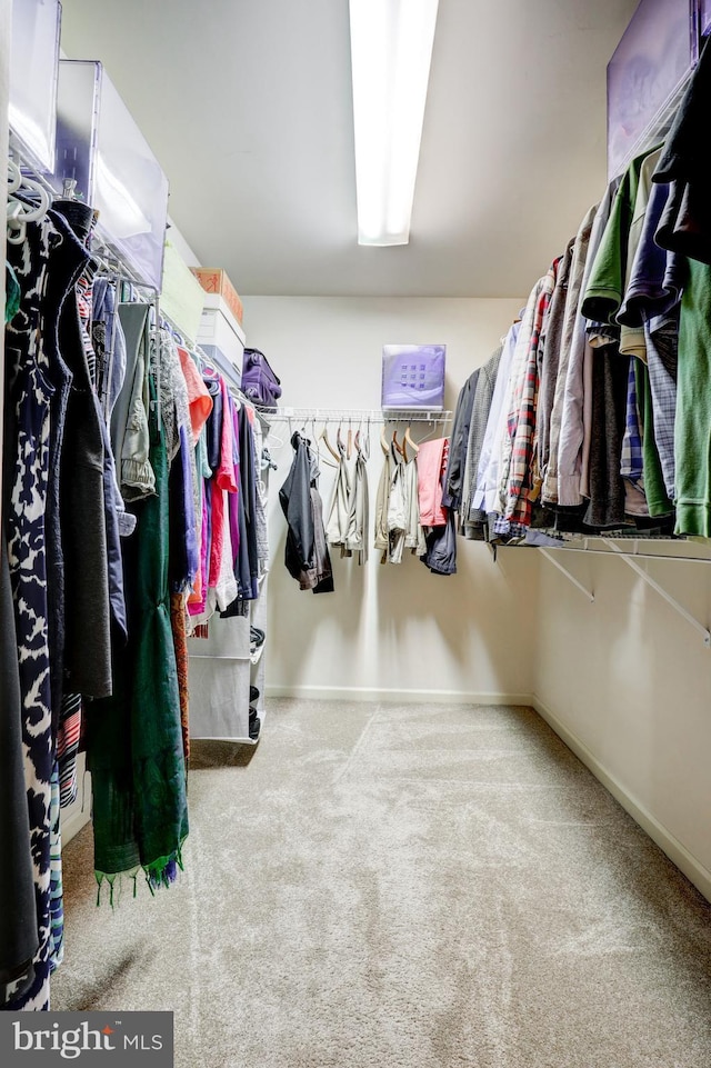 2912 Weaver Rd, Lancaster, PA 17601 - spacious closet featuring carpet floors