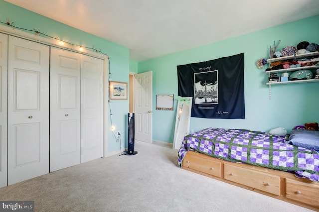 2912 Weaver Rd, Lancaster, PA 17601 - bedroom with carpet floors and a closet