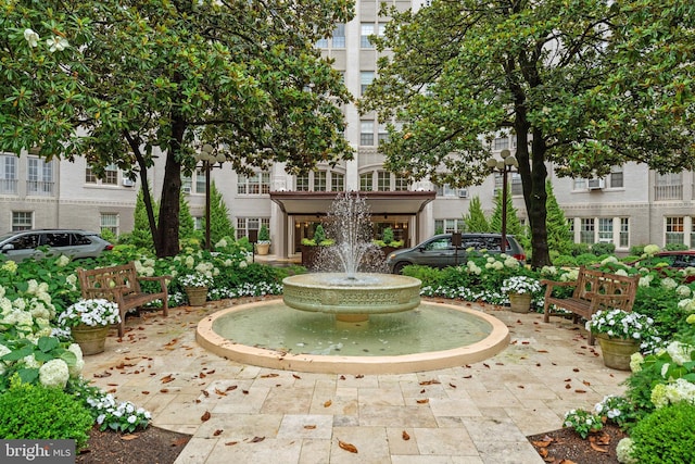 2737 Devonshire Pl NW Unit 321, Washington, DC 20008 - surrounding community