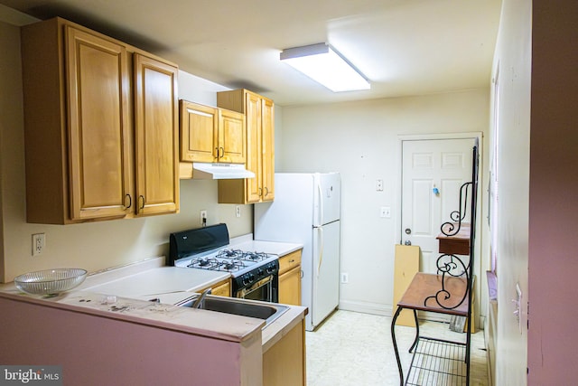 1504 Stricker, Druid, MD 21217 - kitchen featuring under cabinet range hood, white appliances, light countertops, and light floors