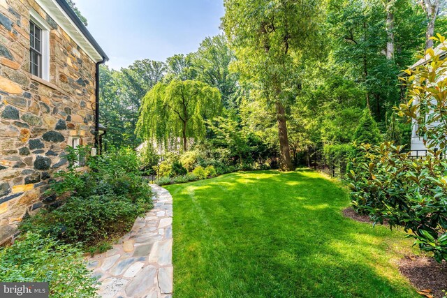 3666 Military Rd, Arlington, VA 22207 - view of grassy yard