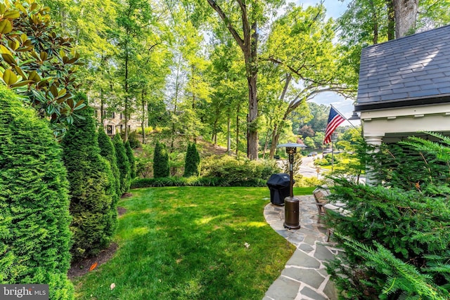 3666 Military Rd, Arlington, VA 22207 - view of grassy yard