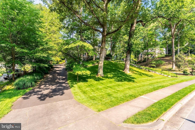 3666 Military Rd, Arlington, VA 22207 - view of front facade with a front yard