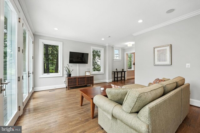 3831 Fulton St NW, Washington, DC 20007 - living area with ornamental molding, wood finished floors, and recessed lighting