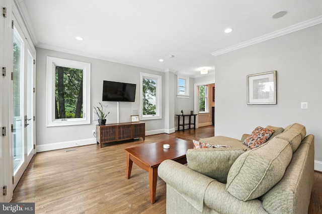 3831 Fulton St NW, Washington, DC 20007 - living room featuring crown molding, wood finished floors, and recessed lighting