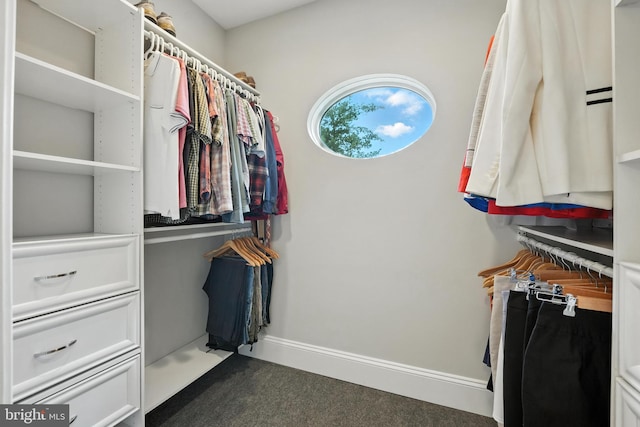 3831 Fulton St NW, Washington, DC 20007 - walk in closet with carpet flooring