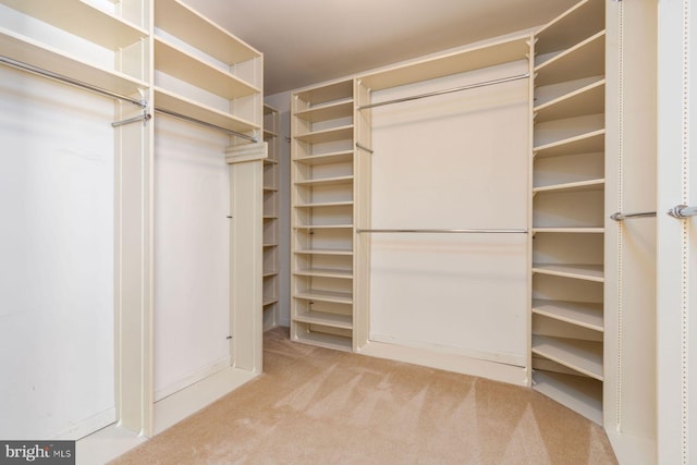 2381 Greensward S, Warrington, PA 18976 - spacious closet with carpet