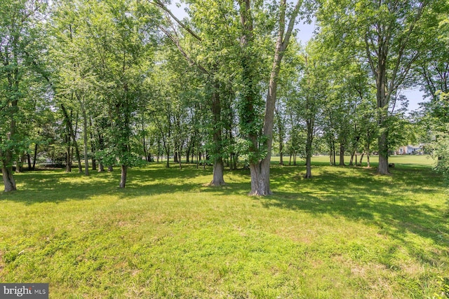 2381 Greensward S, Warrington, PA 18976 - view of grassy yard